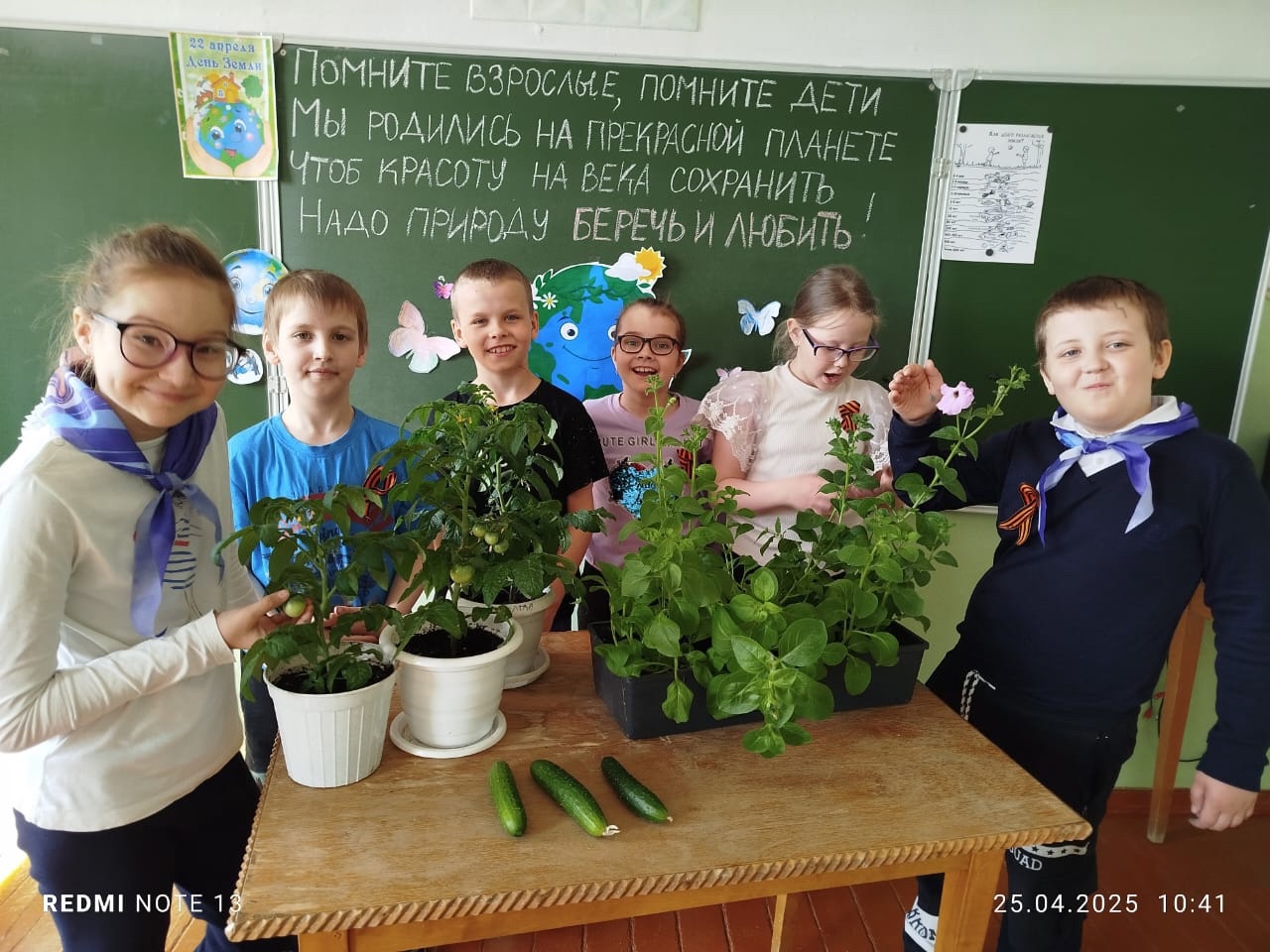 Теплица на окошке.